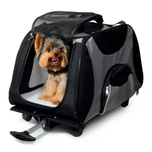 Спальные места и переноски