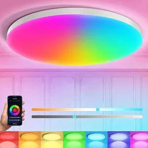 Светильник потолочный 24Вт, 30см + пульт ДУ, Ceiling Lamp Smart / Светодиодная люстра / LED лампа