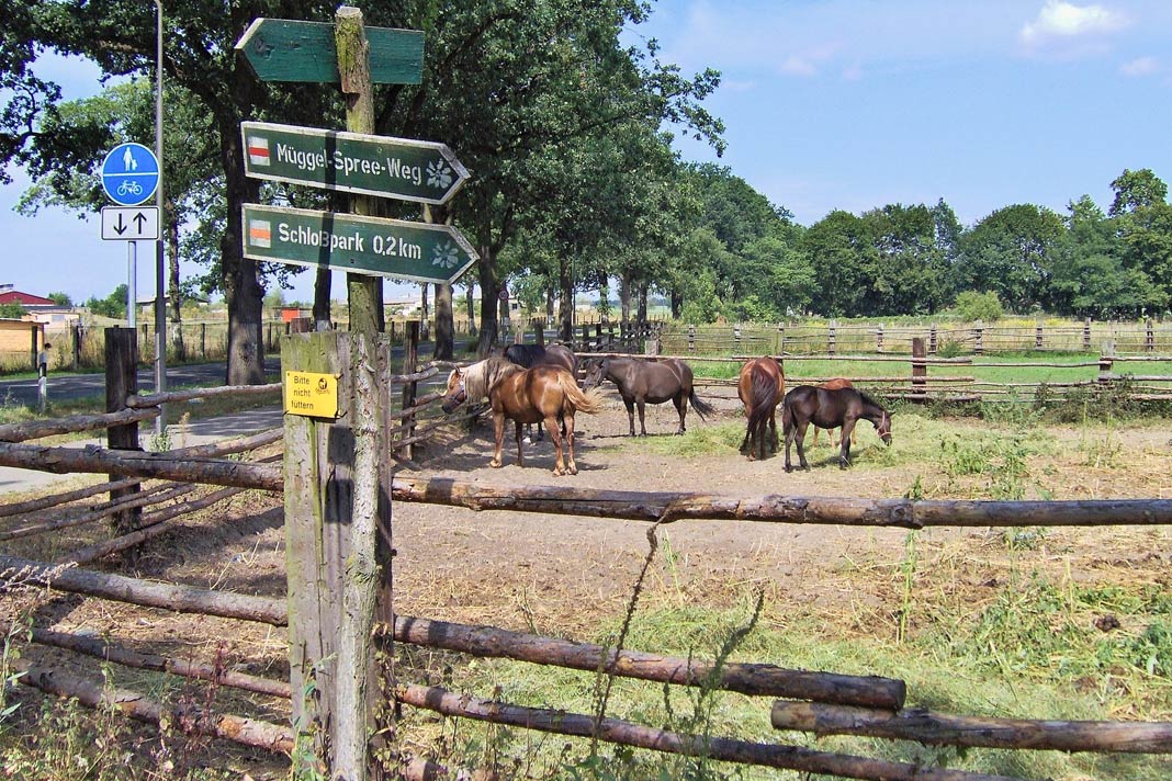 Ein Pferdehof in Brandenburg