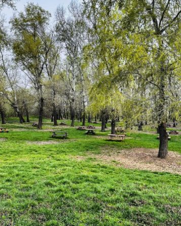 zona picnic Extreme Park Cernica Locuri de Petreceri in Aer Liber pentru Copii Bucuresti