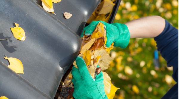 dakgoten schoonmaken schoonmakersdirect.nl dakgoten schoonmaken