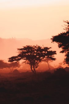 Rwanda, one of the safest countries in Africa