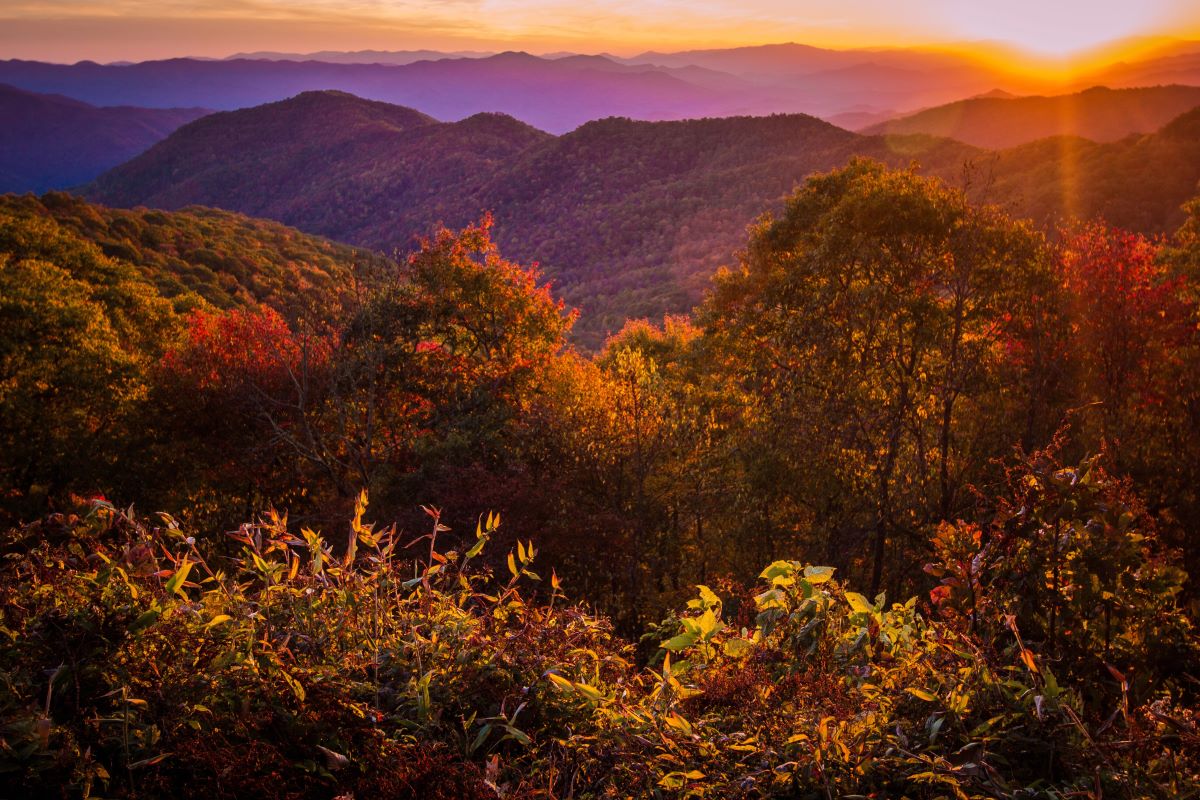 when to visit national parks