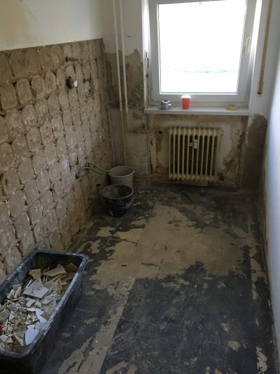 Schimmelsanierung Renosan