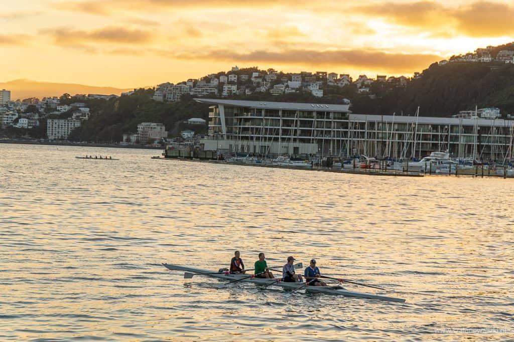 wellington w nowej zelandii