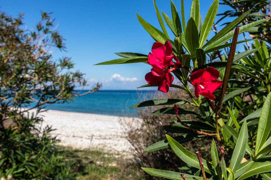 Der Poros Beach im Süden Kefalonias