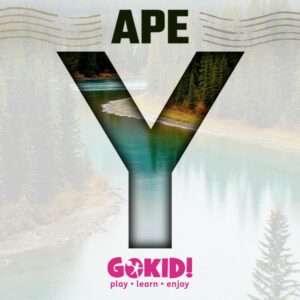 ape cu Y lista TOMAPAN ape cu Y lista TOMAPAN