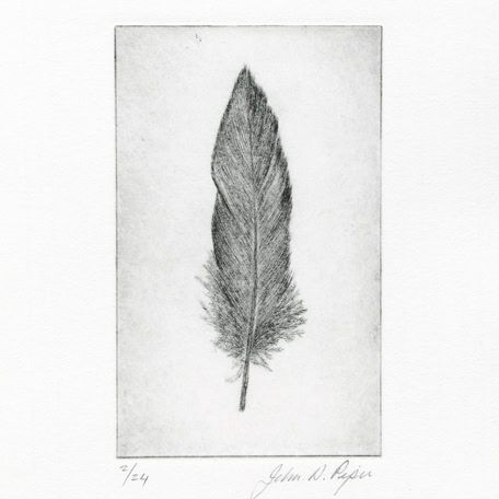 C3158 Wigeon Feather IIII 2/24 – John Douglas Piper