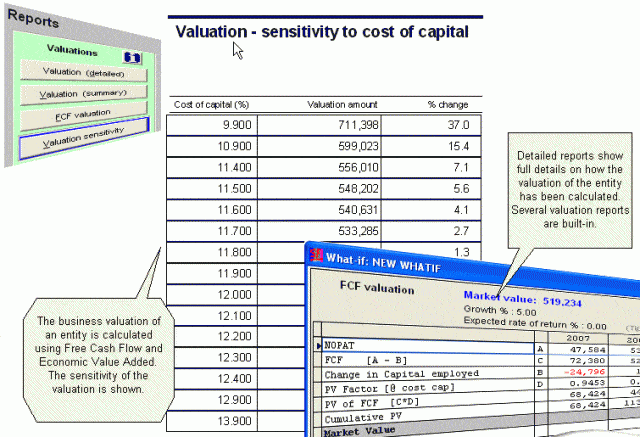 Business Valuation Software – Cash Focus