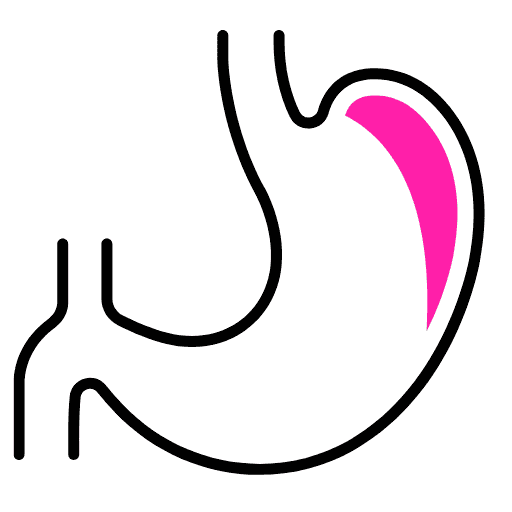 Памуклийка в подкрепа на храносмилането