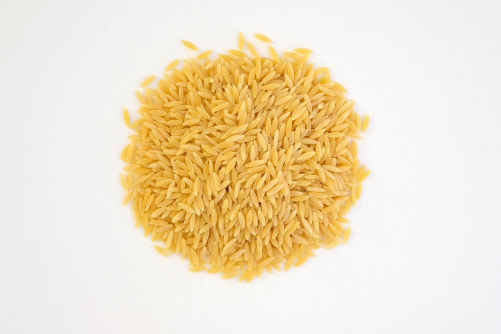 Orzo