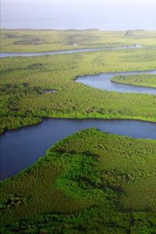 The Gambia, an Africa country