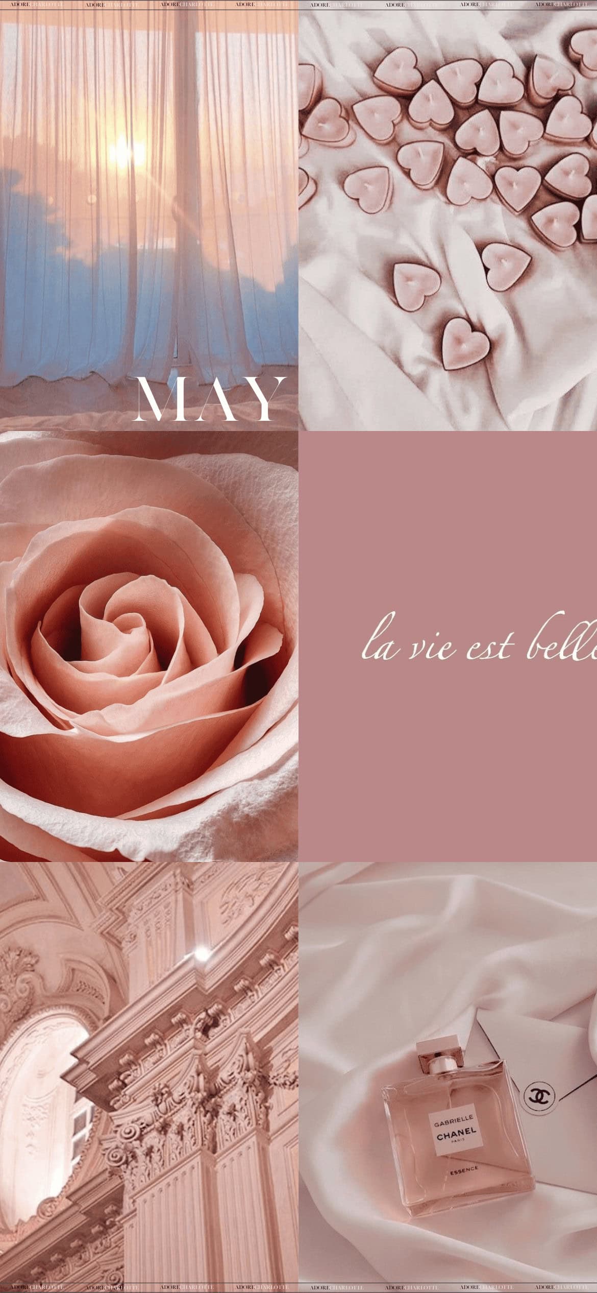 Aesthetic Pink Summer ApMay 2024 Phone Wallpaper