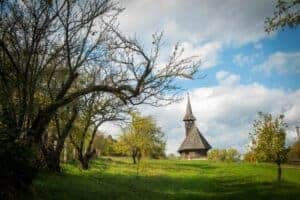 306843807_536873055110926_8809256484647289295_n