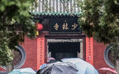 南洋少林易筋經鼓動五臟六腑