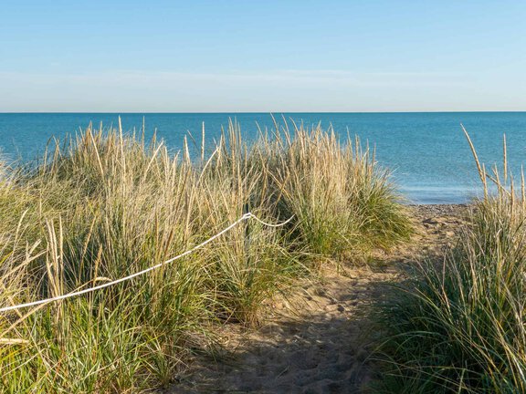 Everything You Need to Know About Chicago’s Beautiful Beaches Chicago