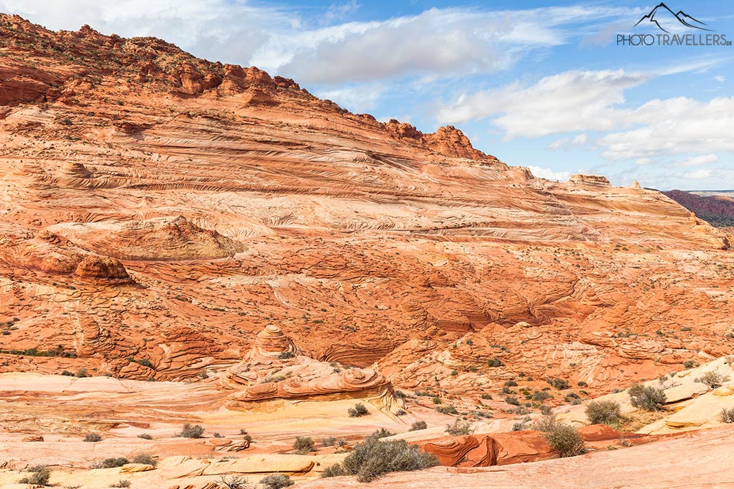 Bunte Sandsteinformationen im Gebiet der Coyote Buttes North
