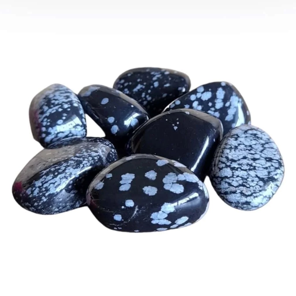 Welcome to Virgo Season 6 Kjahli