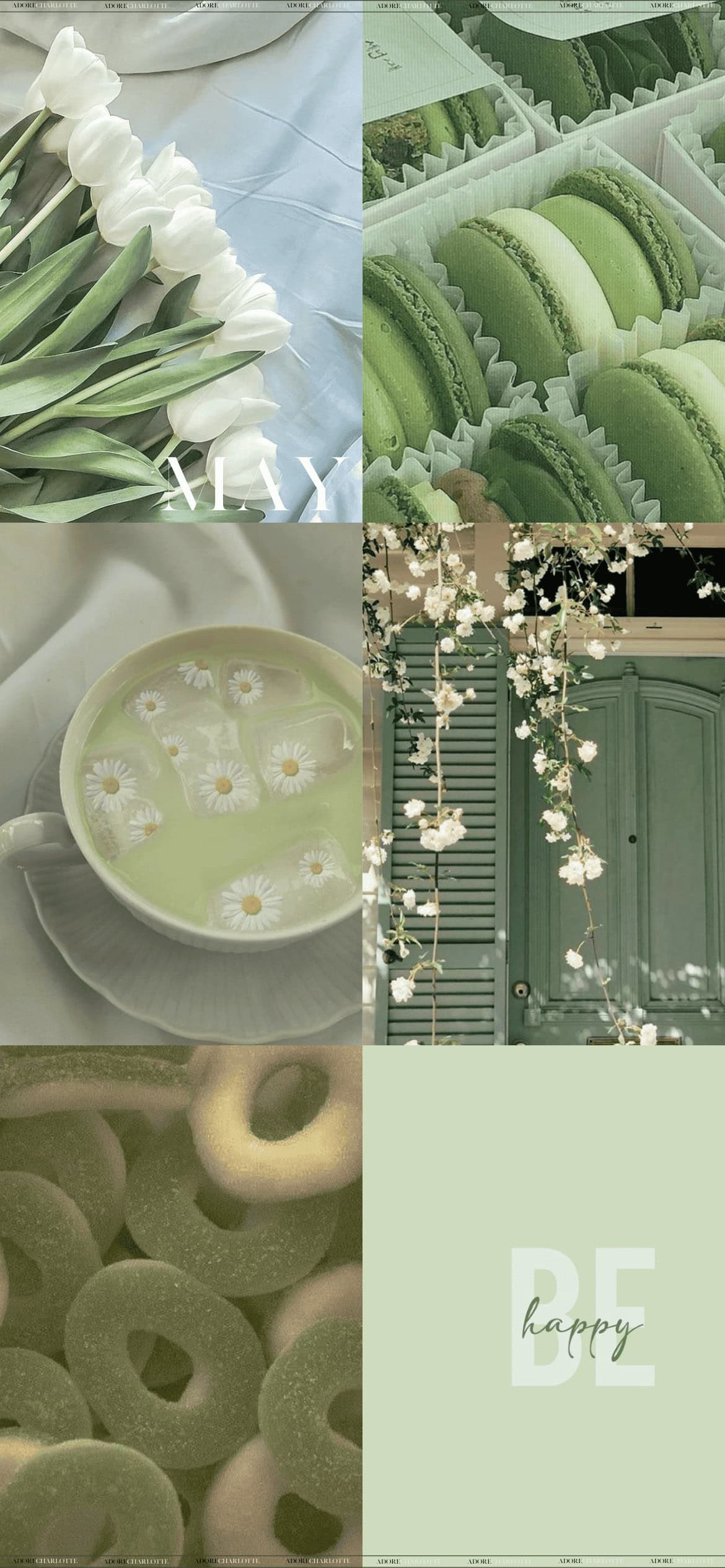 Aesthetic Sage Green Spring May 2024 Phone Wallpaper