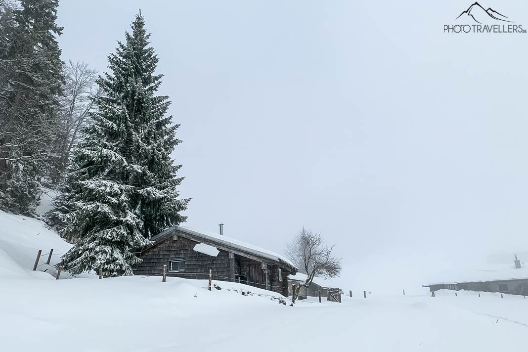 Die Laubensteinalmen im Nebel