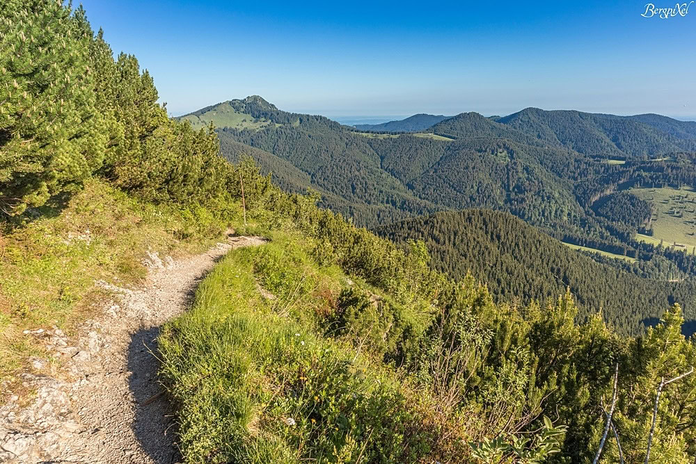 Der Blick auf den Fockenstein