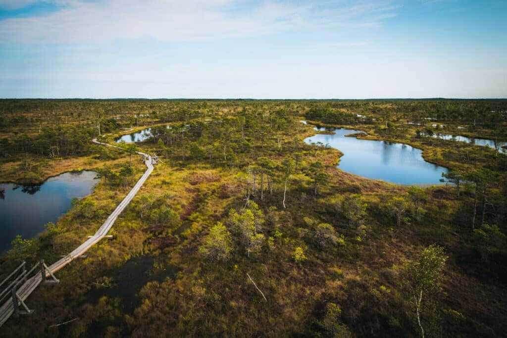 lettland sehenswürdigkeiten, lettland roadtrip - Kemeri Kemeri Nationalpark