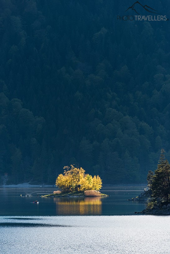 Angestrahlter Baum auf einem Bergsee