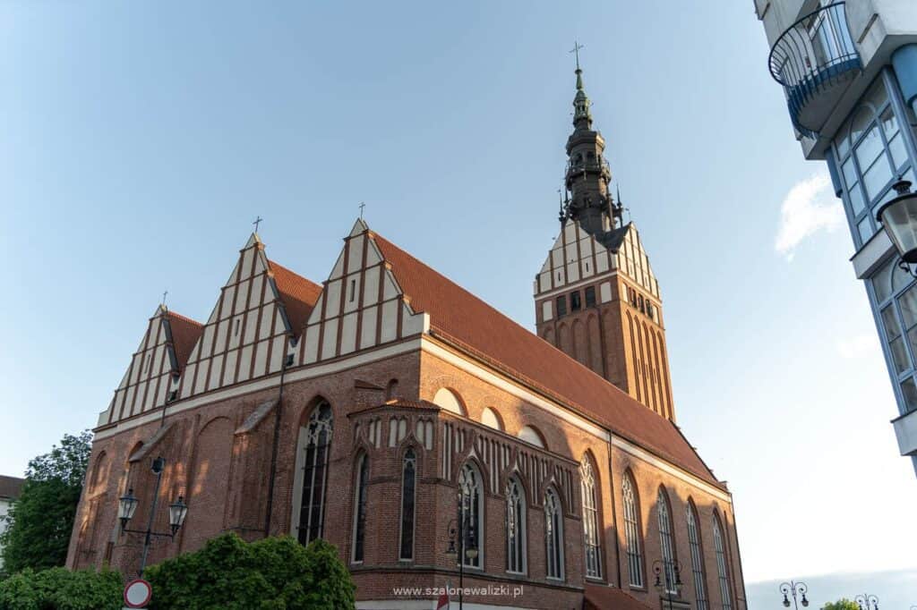 katedra w elblągu