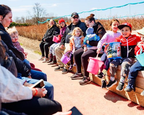 egg hunt waiting egg hunt waiting