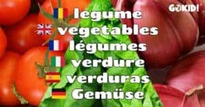 Legume cu Poze - Ordonate Alfabetic. Denumiri Traduse Engleza, Franceza, Italiana, Spaniola Germana Legume cu Poze - Ordonate Alfabetic. Denumiri Traduse Engleza, Franceza, Italiana, Spaniola Germana