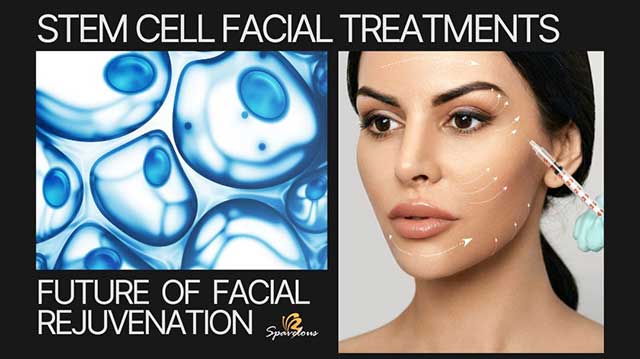 REJUVENATION POWER OF STEM CELL FACIAL TREATMENTS: UNLOCKING YOUTHFUL SKIN 3 the stem cell therapy process