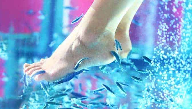 FISH PEDICURE SPA GARRA RUFA IN THE USA: EXPLORING SAFETY AND NEW TREND 4 fish pedicure procedure