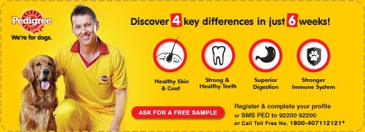 croquetas pedigree precio desde 100 pesos