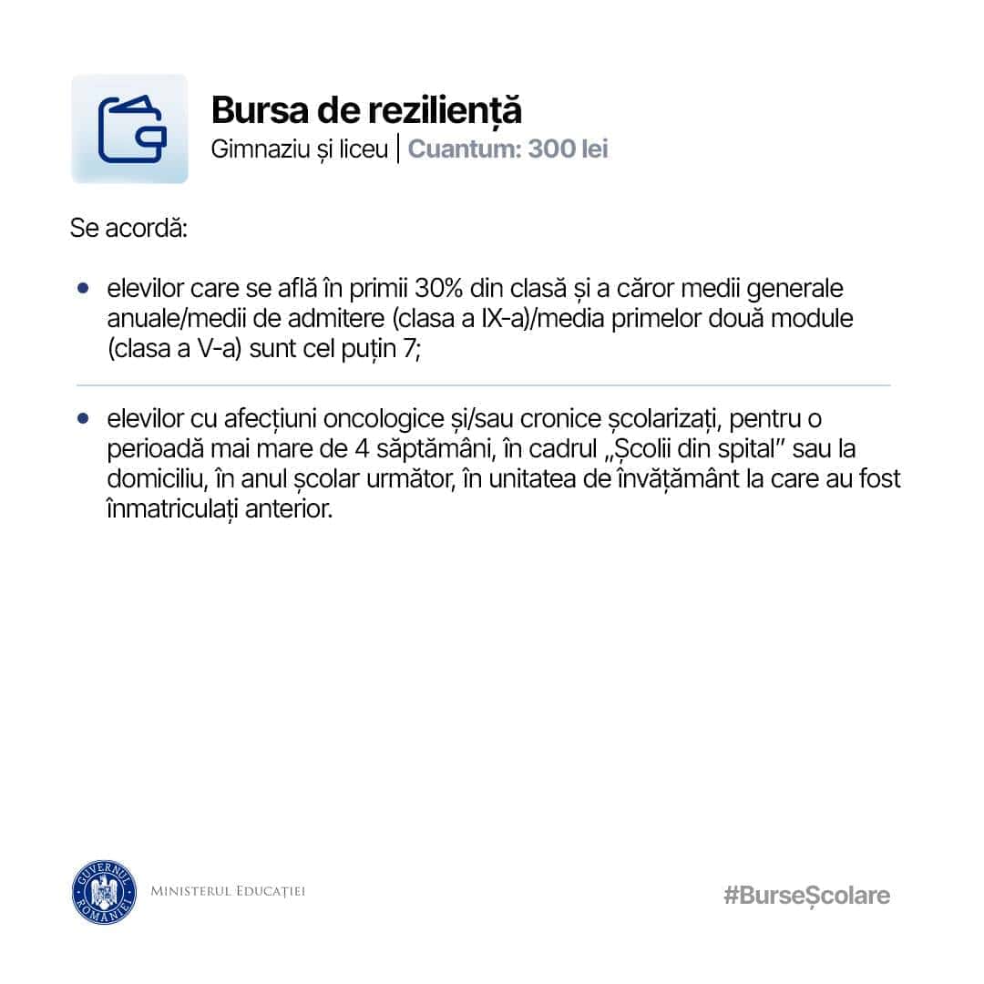 burse scolare 2024-2025 bursa de rezilienta