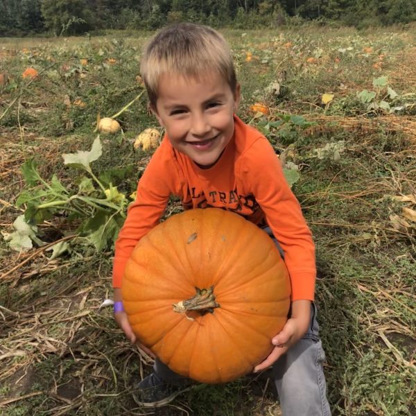 kid carrying pumpkins kid carrying pumpkins