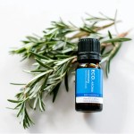 A small bottle of Rosemary Pure Essential Oil sits atop fresh rosemary sprigs on a white background, emphasizing the purity and natural essence of this product.