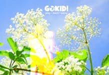 Fata din Soc. Poveste de Hans Christian Andersen | Povestea de Duminică Seara #109 Fata din soc. Poveste de Hans Christian Andersen gokid