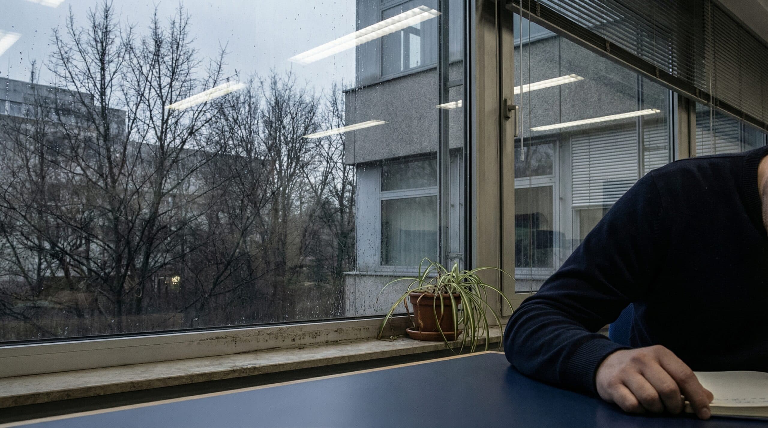 Vitamin-d-mangel im sommer — warum du trotz sonne auf reserve läufst 2 Grauer winterhimmel durch ein bürofenster — welkende pflanze auf der fensterbank