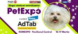 428091219_710415987870354_650554981852408696_n