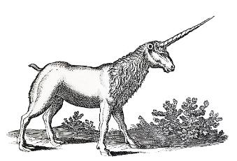 planse de colorat 22