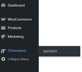 Open reportit plugin in wordpress dashboard