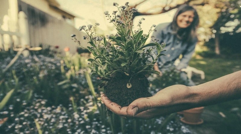 4 Reasons to Start A Garden / Man and woman working in their garden