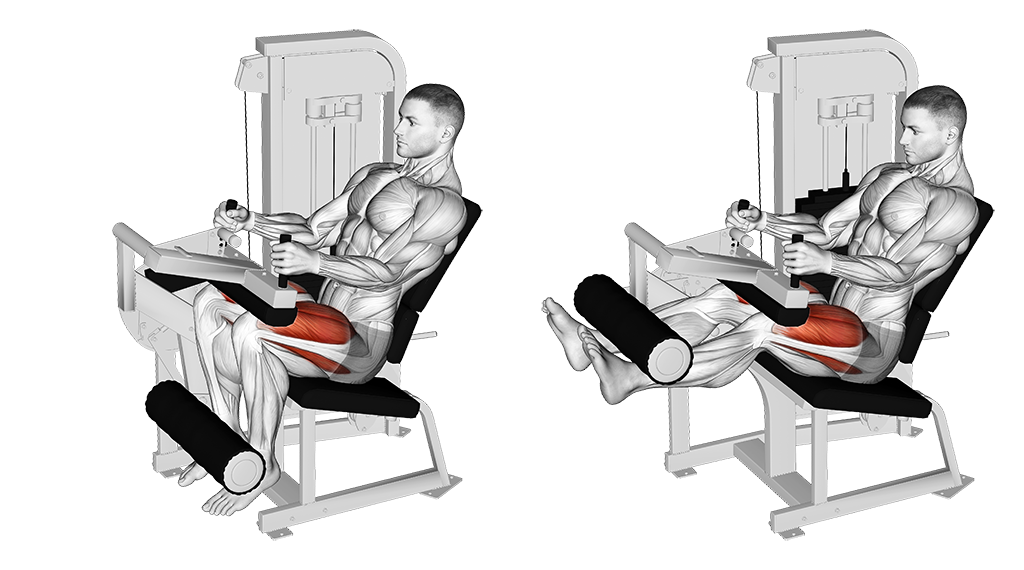 Machine Leg Extensions