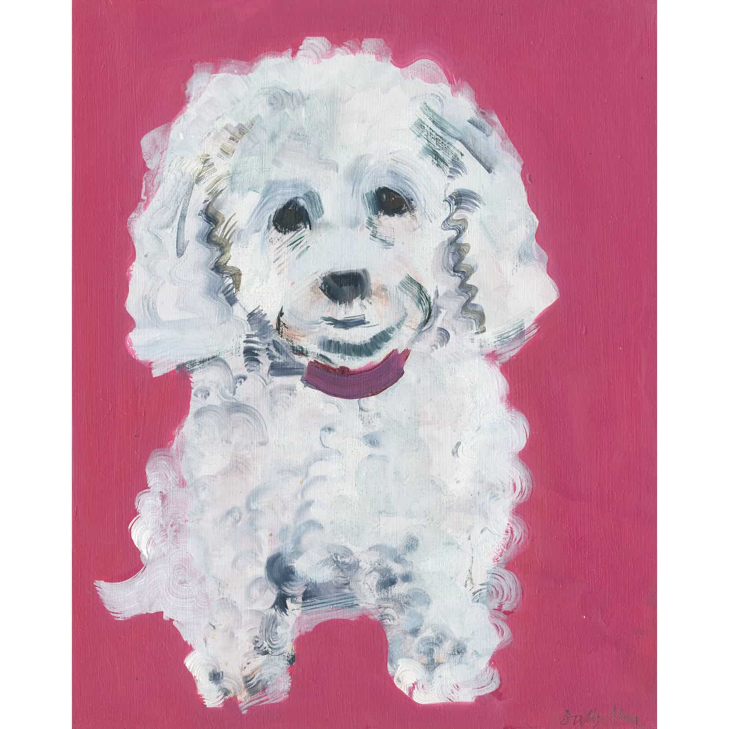 4690C White Curly Dog on Bright Pink Background – Sally Muir