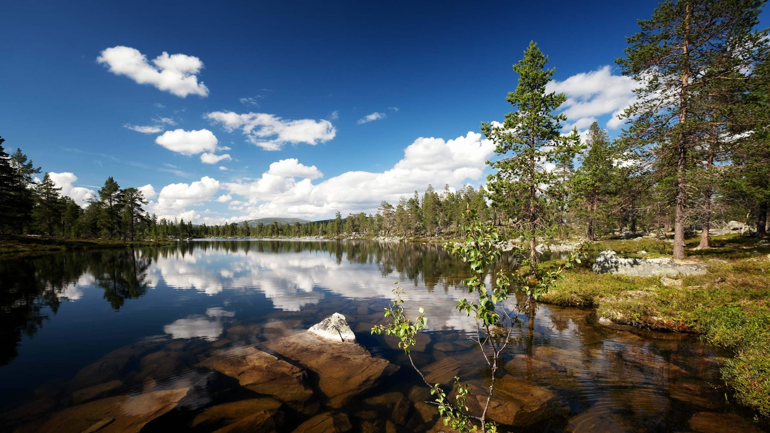 Käringsjön