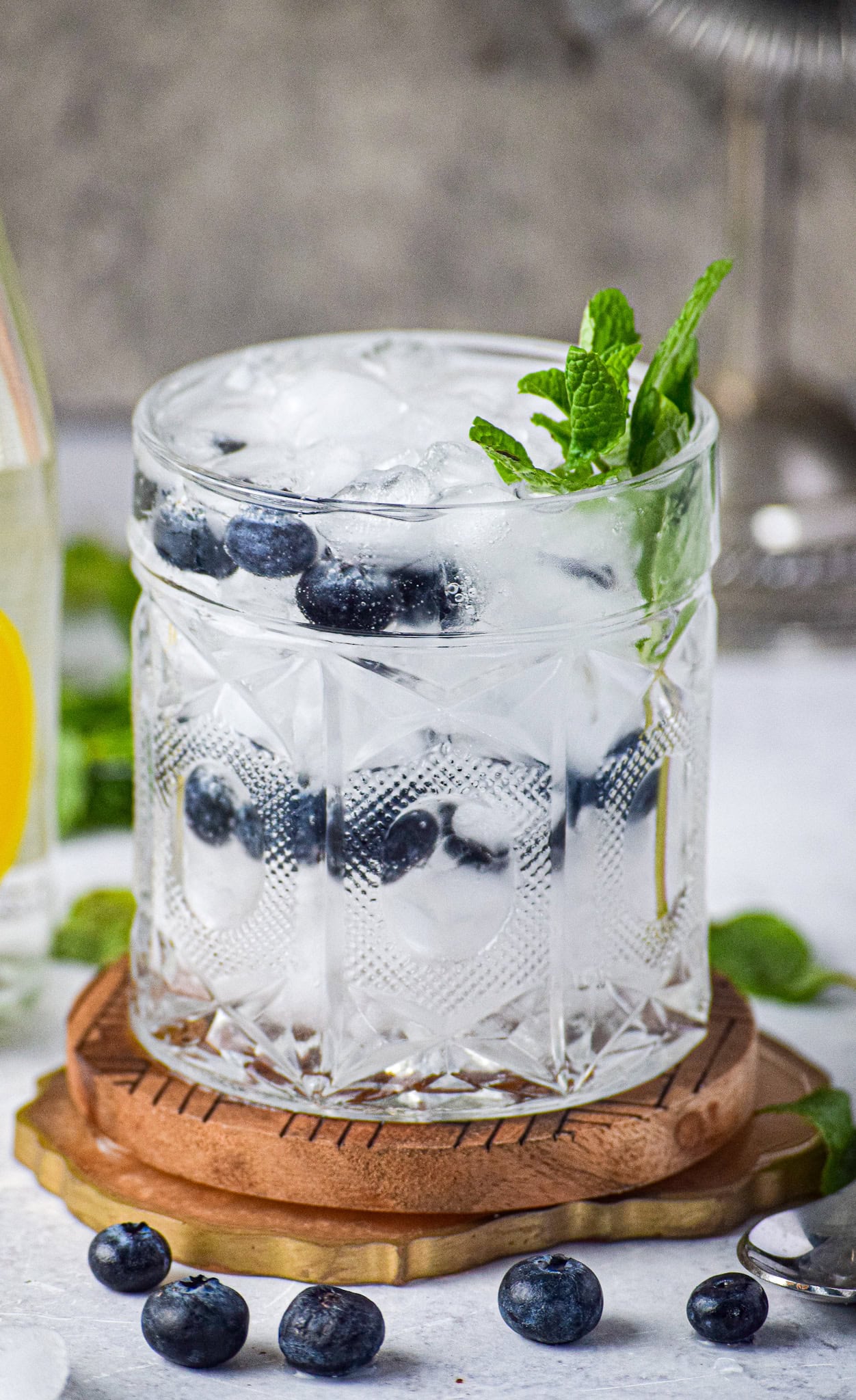 Blueberry Mint Gin and Tonic - The Jam Jar Kitchen