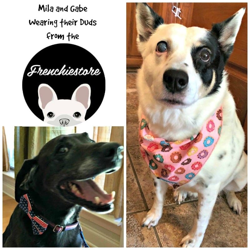 The Frenchiestore...for All Dogs!