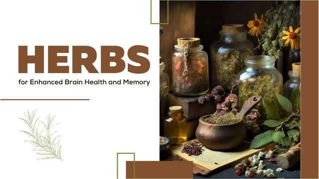7 BEST HERBS FOR ENHANCED BRAIN HEALTH AND MEMORY 5 improve memory and mental focus