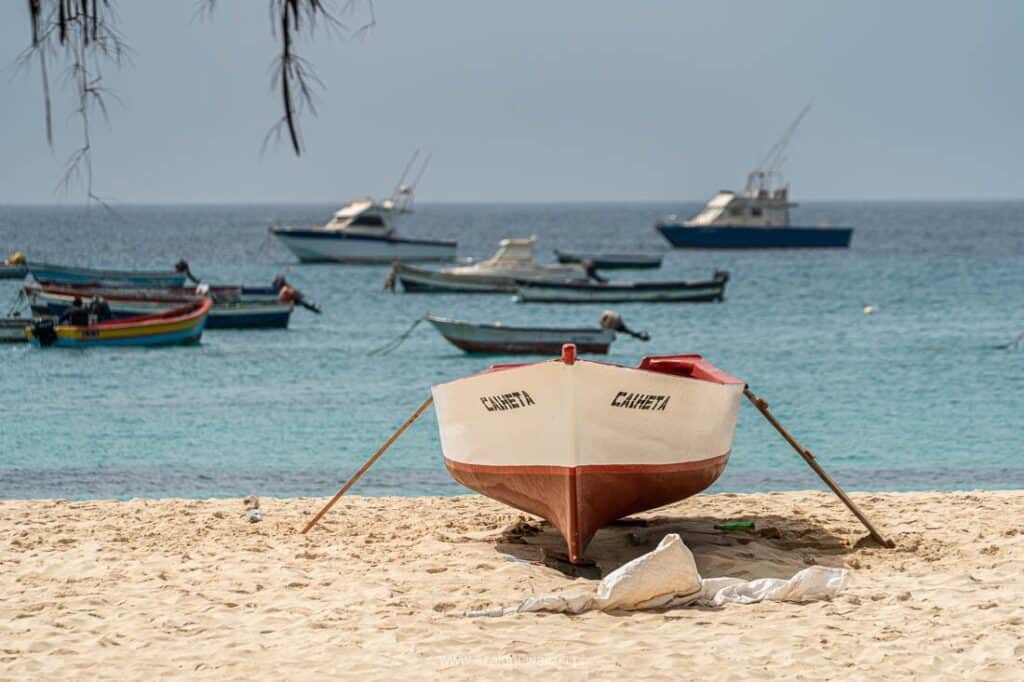 santa maria wyspa sal