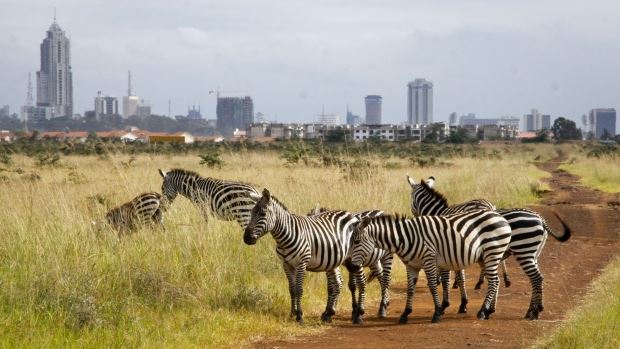Top Nairobi Attractions for Tourists